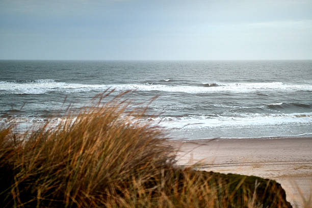 View of Long Strand Beach with dune system at the Atlantic Road near Clonakilty, County Cork, Ireland on a sunny day in January
