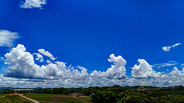 Landscape with lush green vegetation in the lower third and a dramatic contrast of clouds in the upper thirds of the sky.