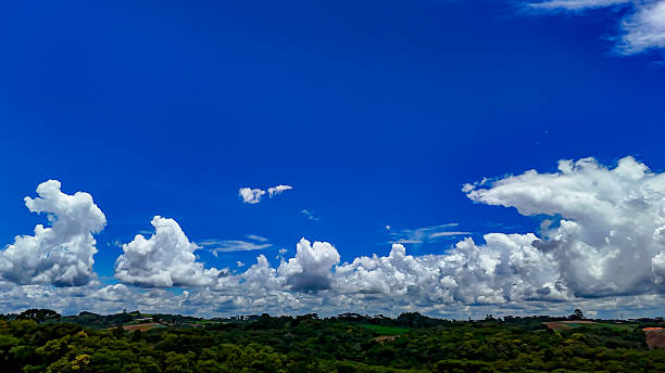 Landscape with lush green vegetation in the lower third and a dramatic contrast of clouds in the upper thirds of the sky.