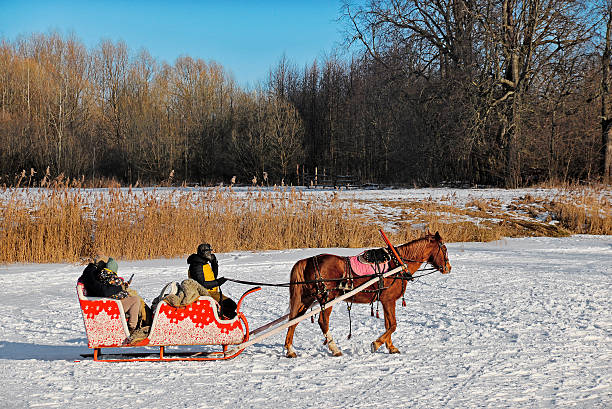 Suzdal, Russia - February 23, 2025: A family rides a sleigh pulled by a bay horse on the frozen Kamenka River. Fun Russian traditions and entertainment in the city.