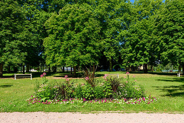 Tree stump on the green grass in the garden