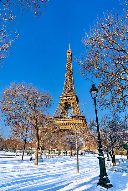 Eiffel Tower stands in Paris, France. Winter scene features the iron monument framed by snow-covered trees and a lamp post in the Champ de Mars park under a blue sky