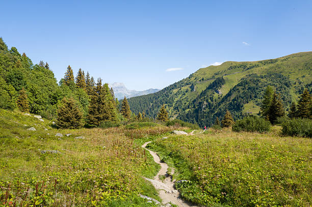 Woman hiking through the Mountain view trail in the Swiss Alps in the Jungfrau region. The Mountain view trail hike from Murren and leads over the Alpine meadows and through forests from Allmendbhubel to Grutschlap with fantastic views of Eiger, Monch and Jungfrau peaks.