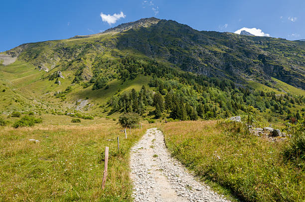 Small winding hiking path through rural alpine landscape, dramatic sky, austrian alps, zillertal