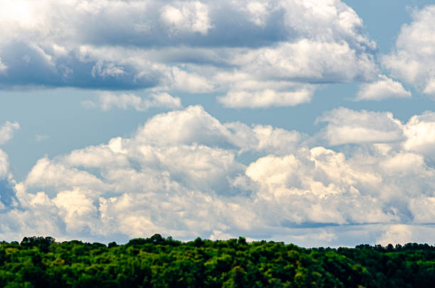 Panorama of a cloud filled sky over a green forest blurred in the foreground on a summer day.