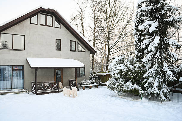 Winter in the garden