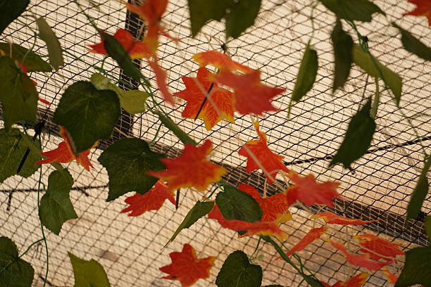 istock Artificial autumn leaves in green and orange create a vibrant pattern on a net. 2255126507