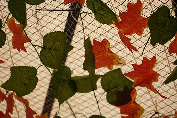istock Various artificial green and orange leaves are thoughtfully arranged across a mesh net. 2255126519