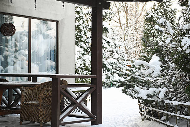 Winter in the garden