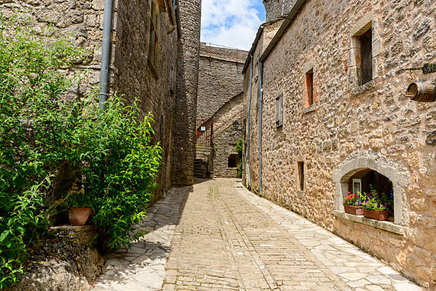Quiet cobblestone alley in La Couvertoirade lined with rustic stone houses, lush green plants, and a window box of colorful flowers under bright daylight.