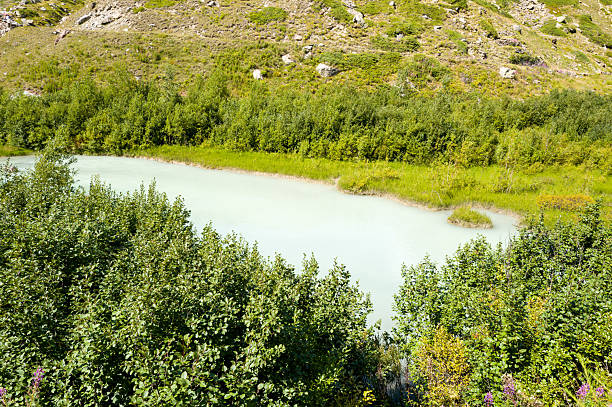 Pale turquoise mountain river curves gently through dense green shrubs and grasses at the foot of a sunlit hillside, evoking a tranquil and vibrant summer atmosphere.