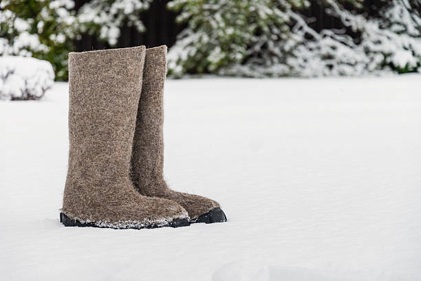 Pair of traditional felt winter boots standing alone in fresh snow with snowy trees in background. Traditional winter footwear for cold season and rustic countryside lifestyle.