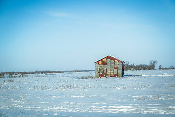 Old abandoned wooden house hidden behind trees in winter village
