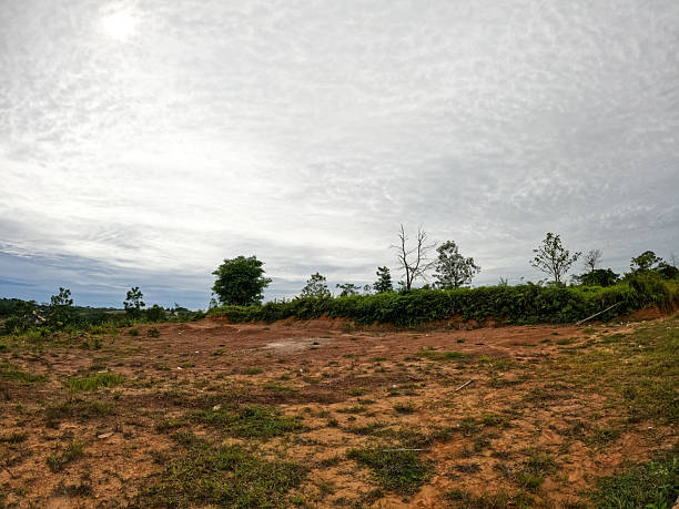 istock Dry Barren Land Under Cloudy Sky with Sparse Vegetation and Open Copy Space 2255138040