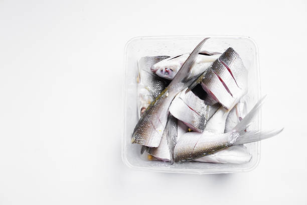 A tray of fish with the tails cut off. The fish are cut into small pieces and are in a plastic container