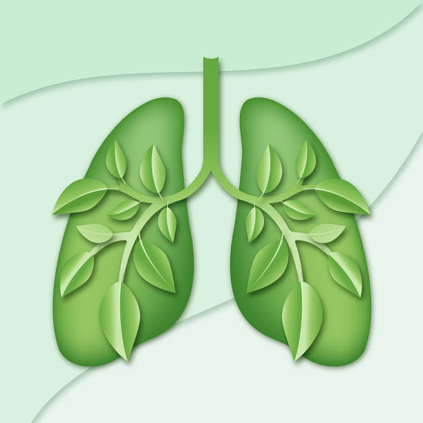 istock Healthy Lungs Banner In Shades Of Green 2255140496