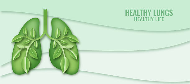 istock Healthy Lungs Banner In Shades Of Green 2255140506