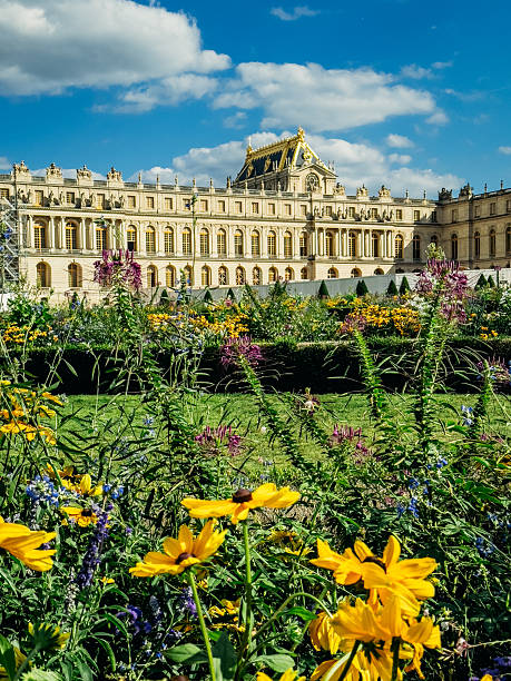 Vertical photo of neat box hedges, green lawn,  and flower beds, with part of the  façade of the Palace of Versailles in the background. Versailles, Yvelines, Ile de France.