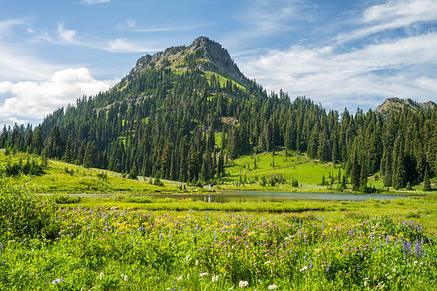 Scenic Tipsoo Lake in Summer with incidental people on trail in background, Mt Rainer National Park, Naches, Washington, USA