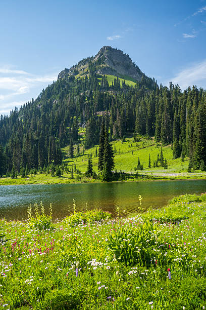 Scenic Tipsoo Lake in Summer, Mt Rainier National Park, Naches, Wasington, USA