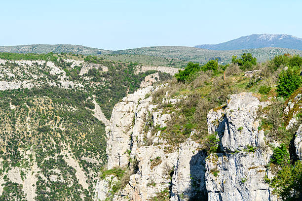 Jagged limestone escarpment topped with patches of green shrubs overlooks a sprawling valley at Cirque de Navacelles. The sunlit cliffs contrast with the textured, wild landscape under a clear sky.