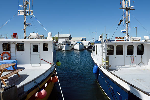 Fishing boats at pier in a sunny summer day