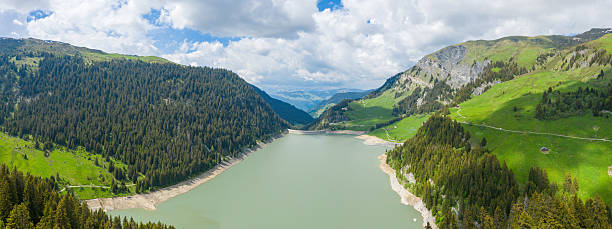Wide-angle landscape featuring a tranquil mountain reservoir surrounded by dense pine forests and vibrant grassy slopes beneath a bright, partly cloudy sky near Barrage de Saint Guerin.