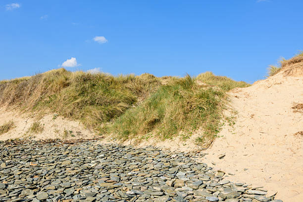 Coastal sand dunes covered with tall grass rise above a stony beach at Plage de la Vieille eglise. Bright sunlight casts crisp shadows, highlighting the textures of sand, grass, and scattered rocks against a clear sky.