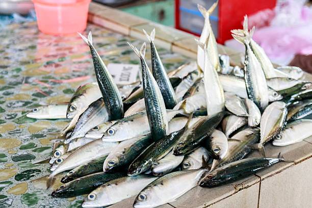 istock Fresh Mackerel Stacked at a Traditional Wet Market 2255150977
