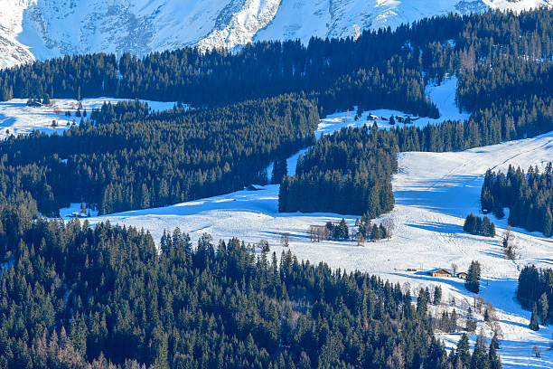 Expansive snow-covered meadows weave between dense evergreen forests on sunlit slopes near Megeve, with rugged mountains rising in the distance.