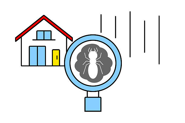 istock Image illustration of finding termites in a house with a magnifying glass 2255154185