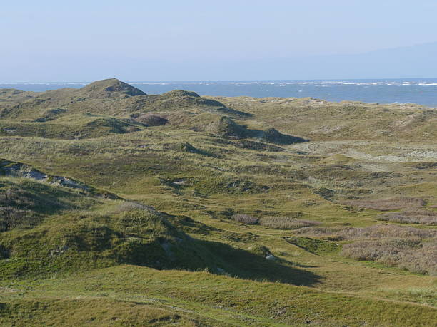 This landscape photograph shows a view from a lookout point overlooking a dune landscape on the island of Norderney. In the background, you can see the North Sea and the cloudless, blue sky.The photo was taken on the island of Norderney (Germany/Lower Saxony).