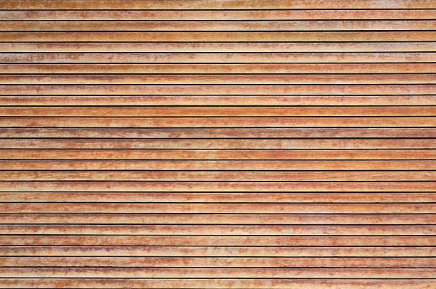 Finding beauty in the simple lines of nature.