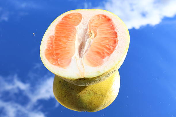 A square mirror placed on grass reflects a vivid blue sky filled with soft white clouds.A half-cut pomelo rests on top, doubling its bright citrus color in the reflection.Sunlight intensifies the fruit’s juicy texture and the bold outdoor contrast.This flatlay scene merges nature, freshness, and creative perspective.