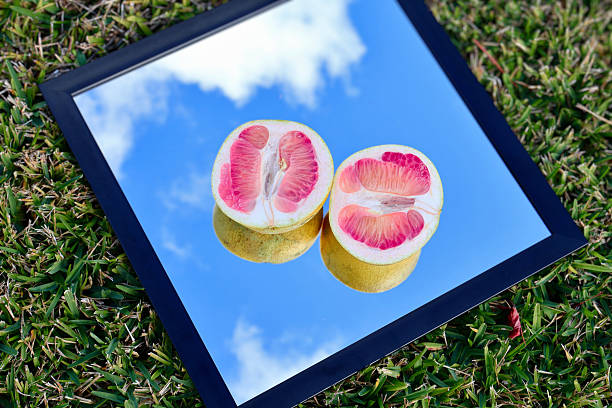 A square mirror placed on grass reflects a vivid blue sky filled with soft white clouds.A half-cut pomelo rests on top, doubling its bright citrus color in the reflection.Sunlight intensifies the fruit’s juicy texture and the bold outdoor contrast.This flatlay scene merges nature, freshness, and creative perspective.