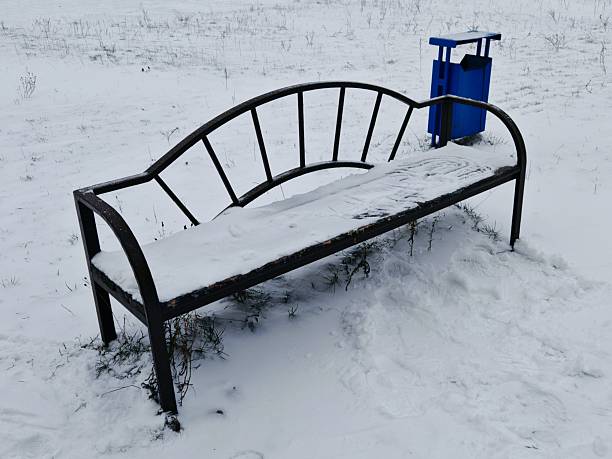 Beautiful snowy scene