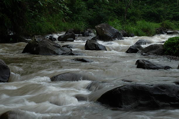 River flows rapidly over rocks in lush green forest, creating a powerful and serene scene of nature's beauty and untamed energy.