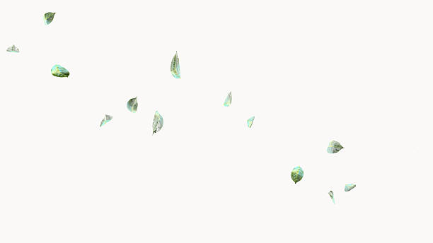Fresh green leaves floating on off white background with large copy space. Minimal nature layout for spring and eco themes. 3D render.