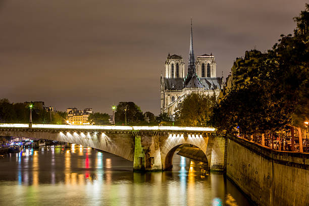 Notre Dame de Paris at night, Paris, France