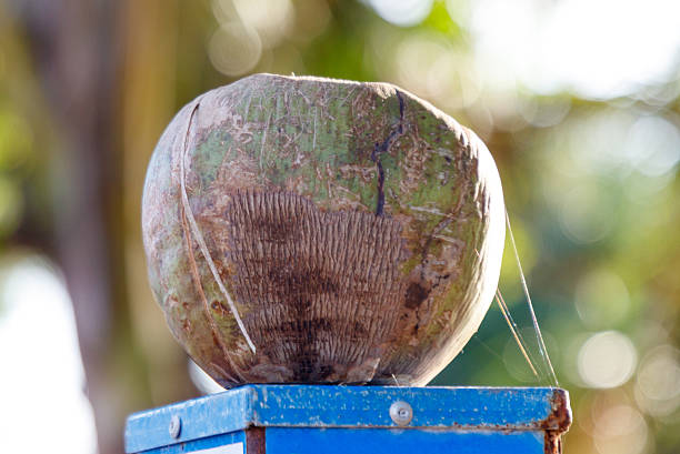 A coconut is sitting on top of a blue surface. The coconut is cracked open and has a hole in the middle