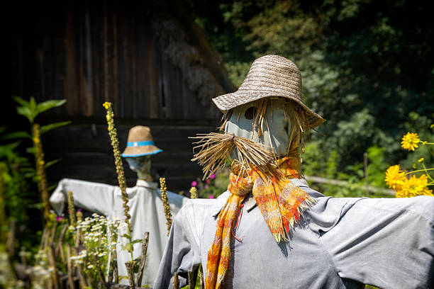Cute scarecrow standing by a fence in autumn