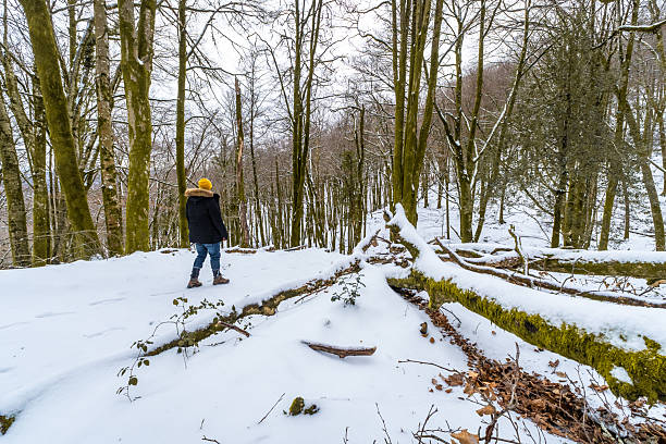 Young adult person walking alone through a quiet, snow-covered forest with bare trees and fallen logs, enjoying the peaceful winter nature during a cold day