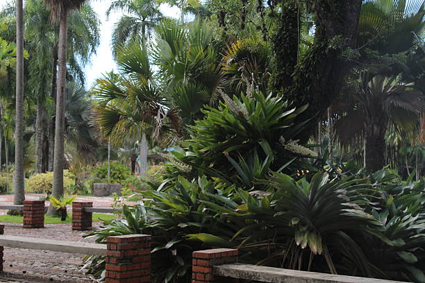 istock Panoramic view of a beautiful green garden 2255190396