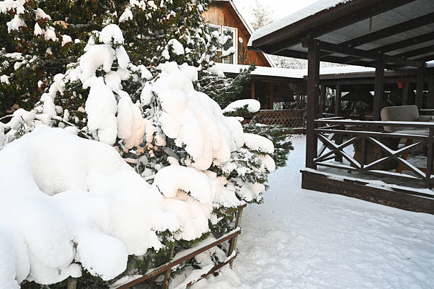 Winter in the garden