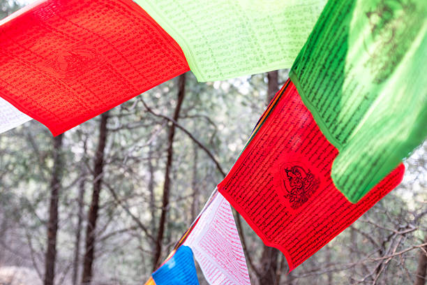This close-up image captures a string of colorful Tibetan prayer flags (Lung ta) hanging diagonally in a wooded area. The focus is primarily on the red and green flags, which are densely printed with traditional Buddhist mantras and iconography in black ink. The sunlight filters through the thin fabric, illuminating the sacred text and highlighting the texture of the material. The background consists of a soft, out-of-focus blur of tree trunks and branches, suggesting a peaceful forest setting or a mountain path often found in Himalayan regions.