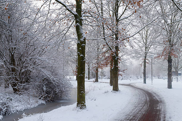 Snow-covered path winding through a serene winter forest with frost on bare trees