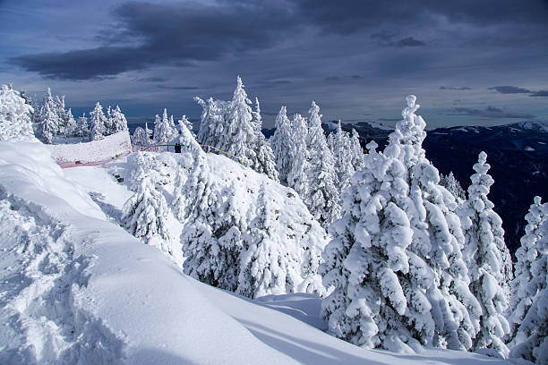 Winter landscape