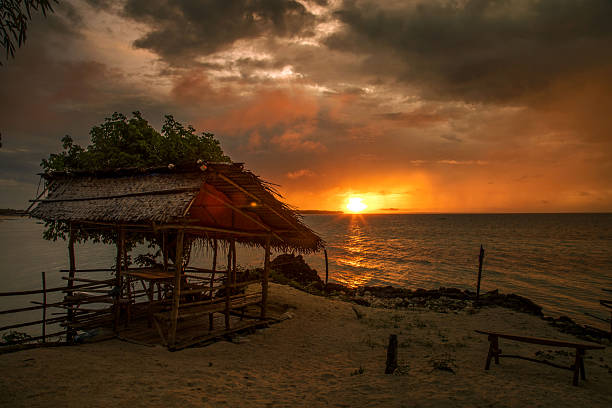 beach-life scenery