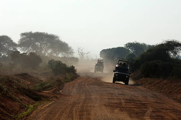 Safari game in Tsavo National Park, Kenya