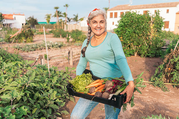 Senior woman smiling while holding freshly harvested organic vegetables in a community garden